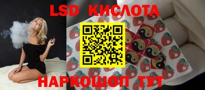 apvp Будённовск