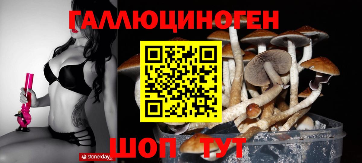 Галлюциногенные грибы прущие грибы  Галлюциногенные грибы прущие грибы  Вход с VPN  Раменское 